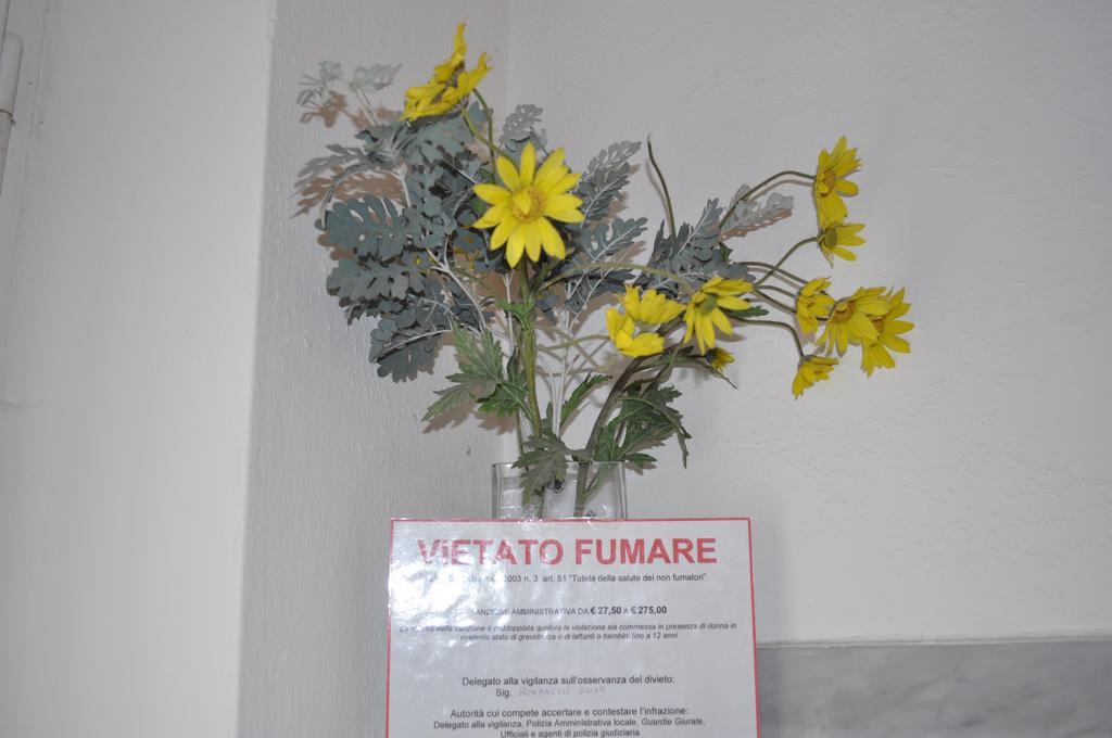 Affittacamere Elisa Pisa Bagian luar foto